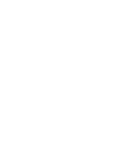 système de sécurité